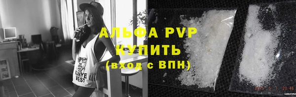 гидра Елабуга