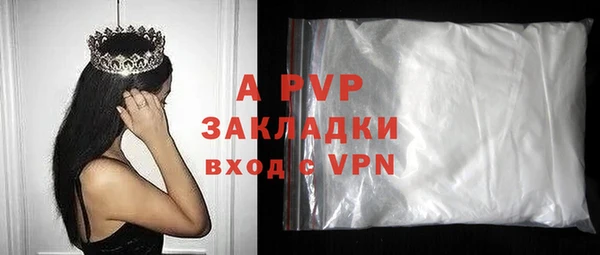 гидра Елабуга
