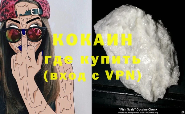 не бодяженный Дмитриев