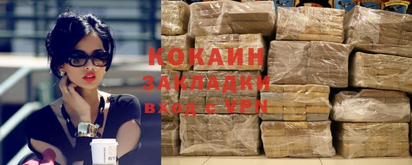 гидра Елабуга