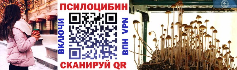 Галлюциногенные грибы ЛСД закладки Новочеркасск